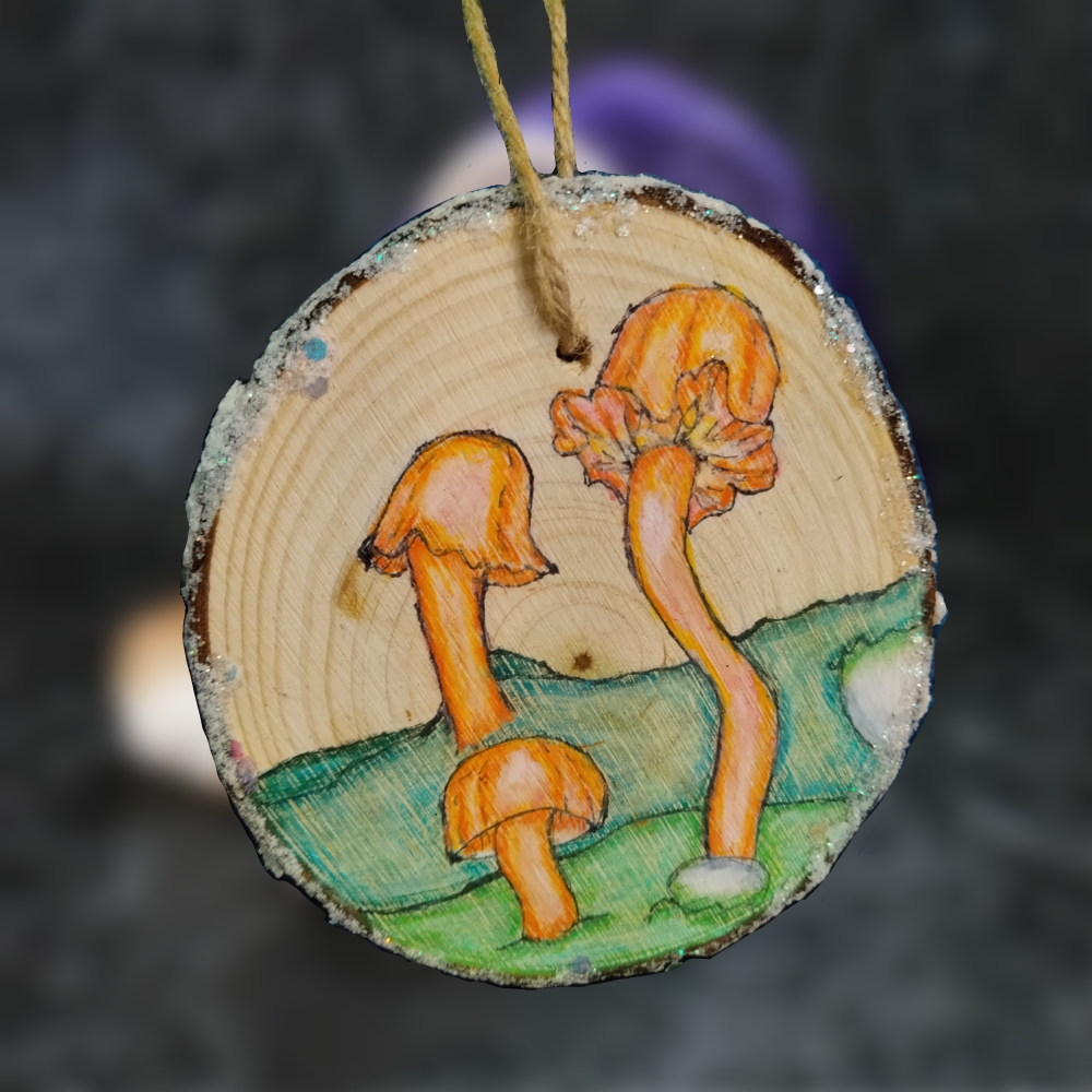 Colorful Mushroom Wall Art Ornament